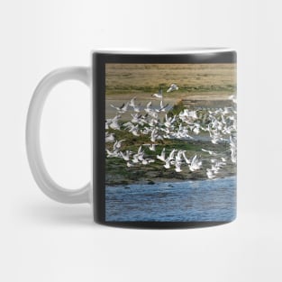 Le Conquet - L'envol Mug